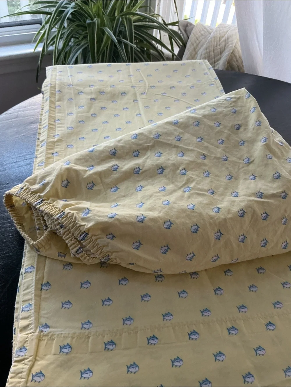 EUC Southern Tide Bedsheet set